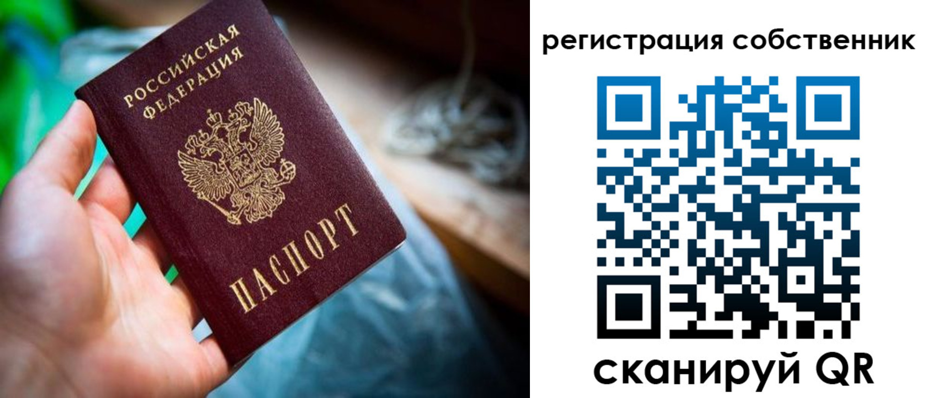 прописка гарантия в Суворове